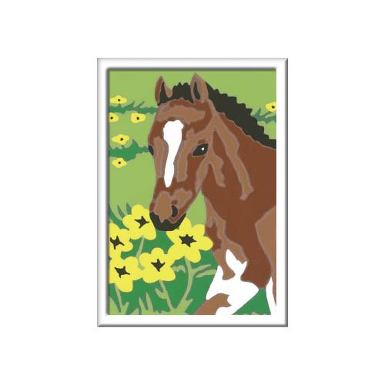 Pinta por números - Caballo-1