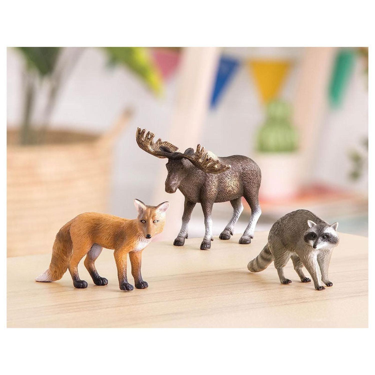 Animales del bosque: Alce, zorro y mapache-2