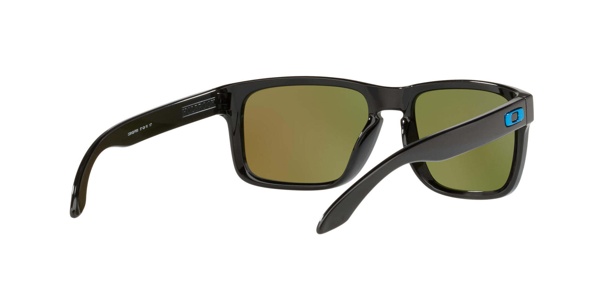 Oakley Holbrook Prizm-6