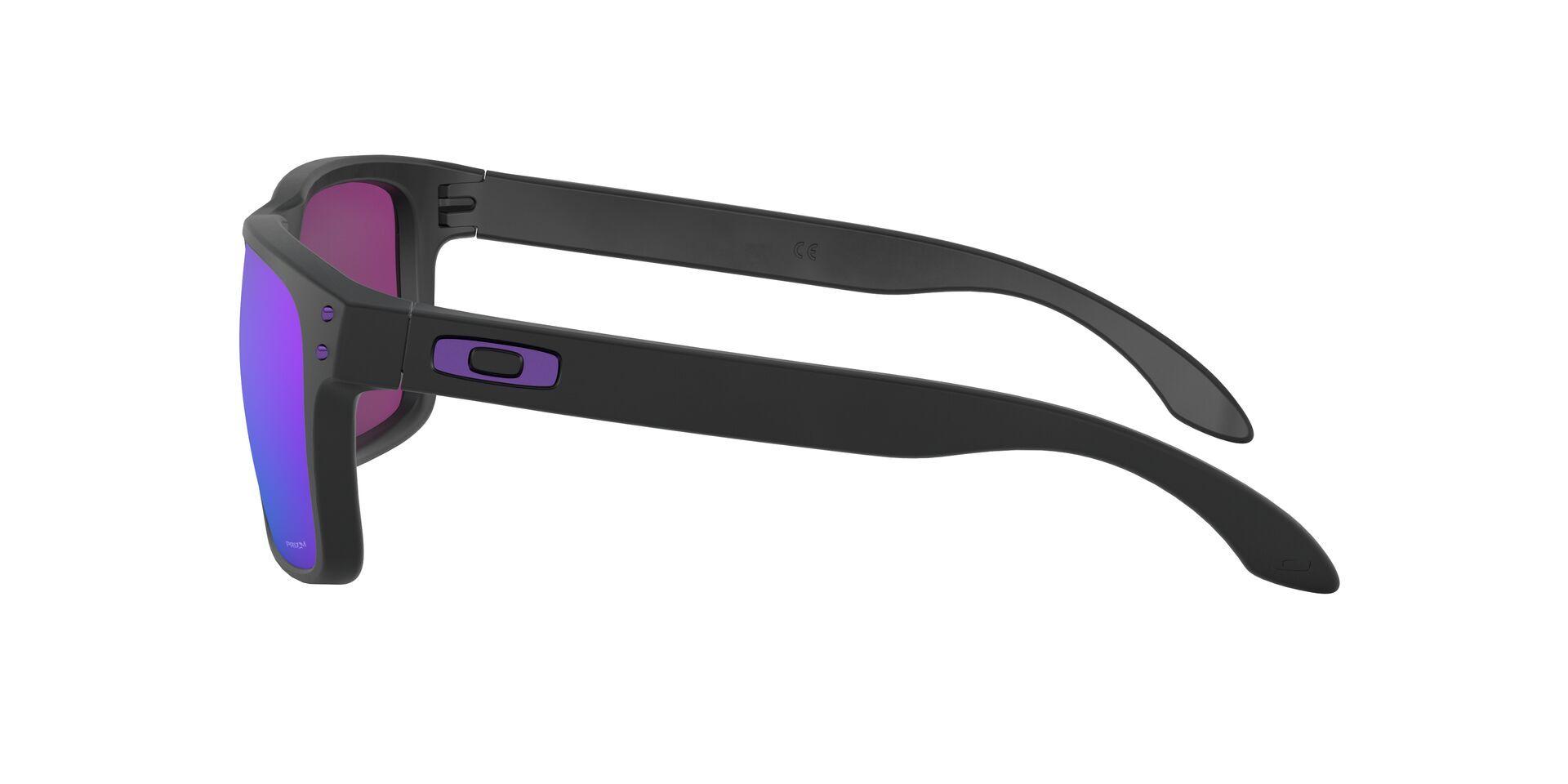 Oakley Holbrook Prizm-2