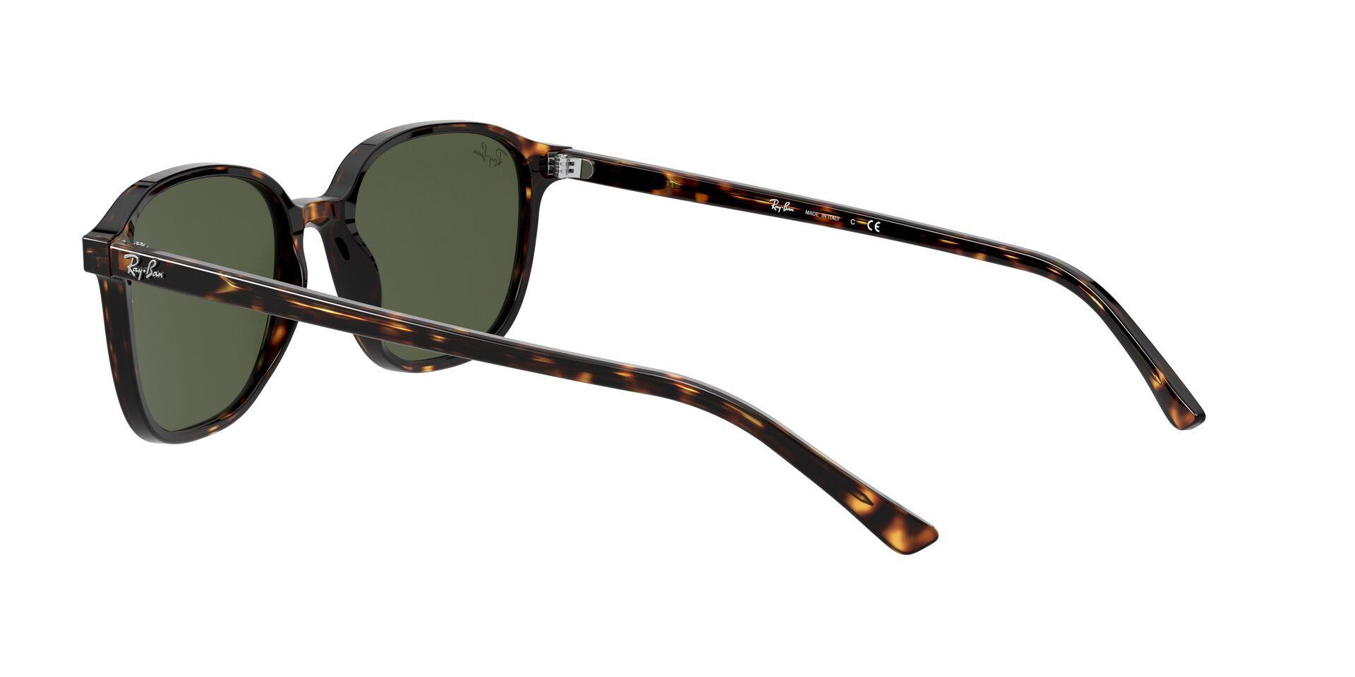 Ray-Ban Leonard-3