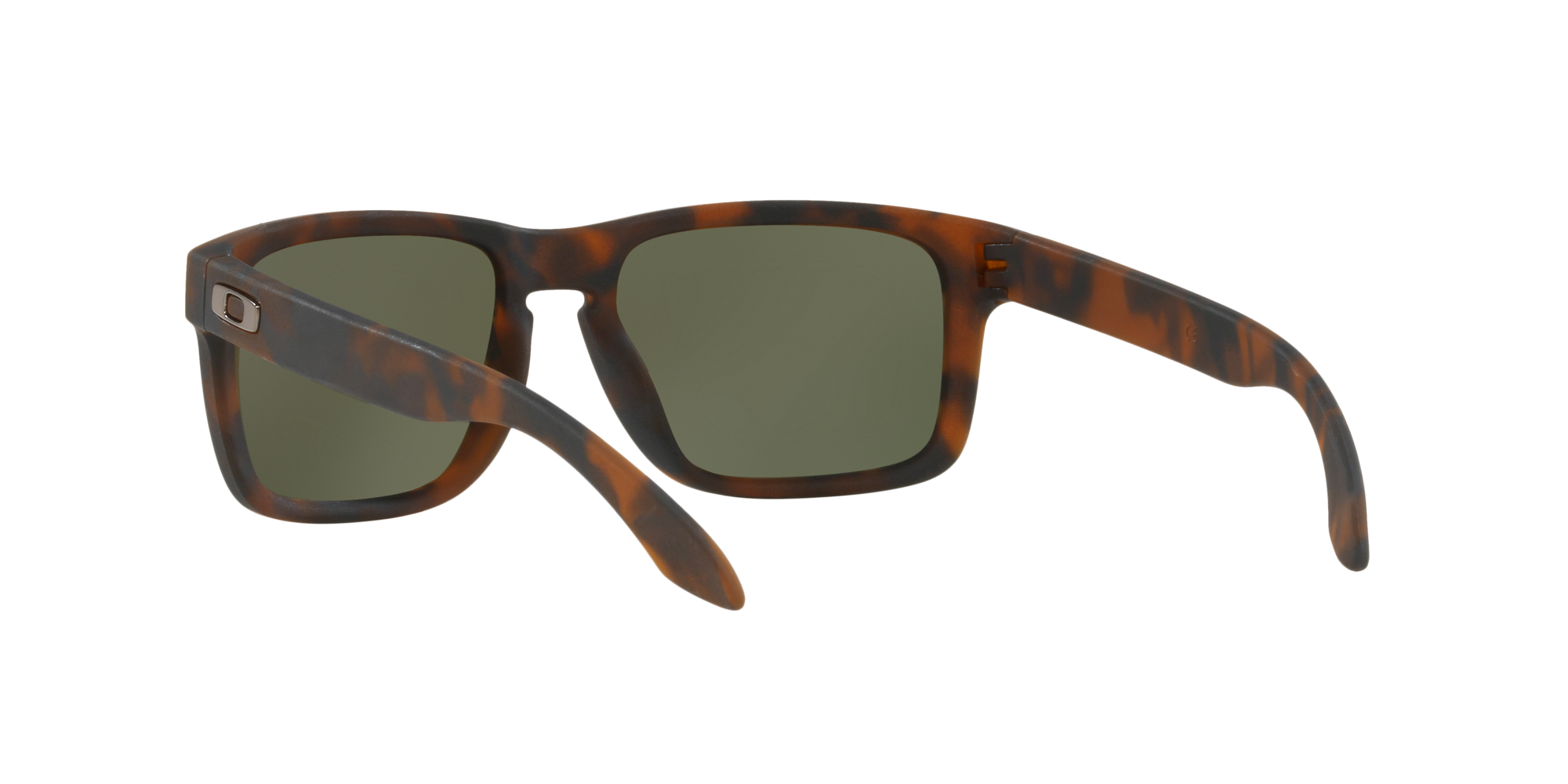 Oakley Holbrook Prizm-4