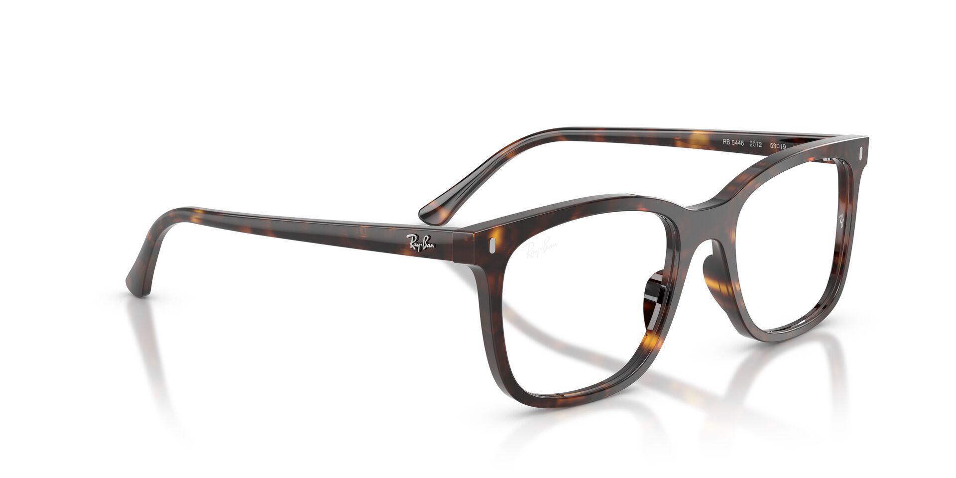 Ray-Ban RX5446 2012 53-3