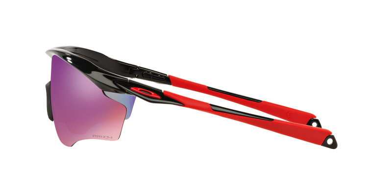 Oakley M2 Frame XL Prizm-2