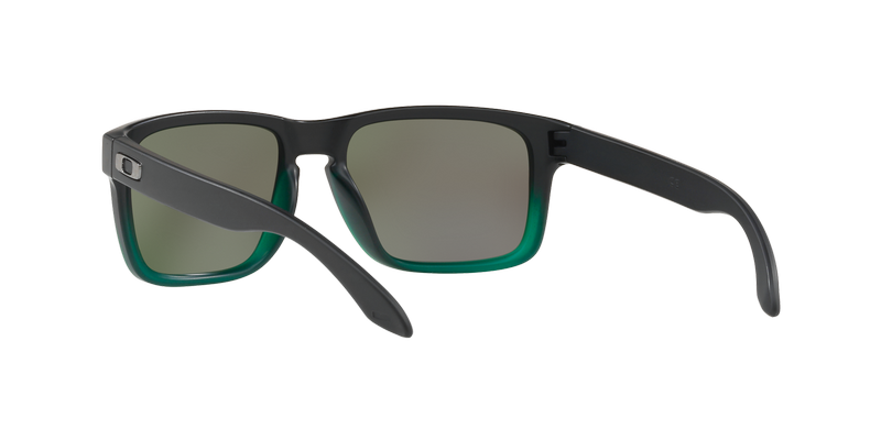 Oakley Holbrook Prizm OO9102-E455-4