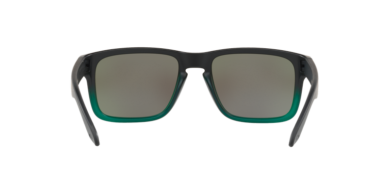 Oakley Holbrook Prizm OO9102-E455-5