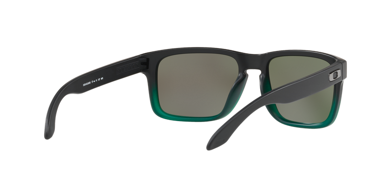 Oakley Holbrook Prizm OO9102-E455-6