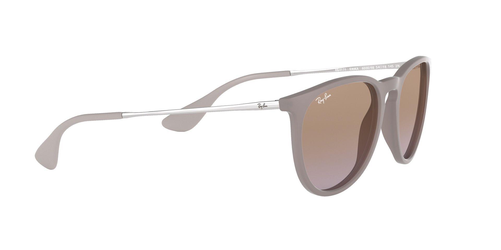 Ray-Ban Erika-9