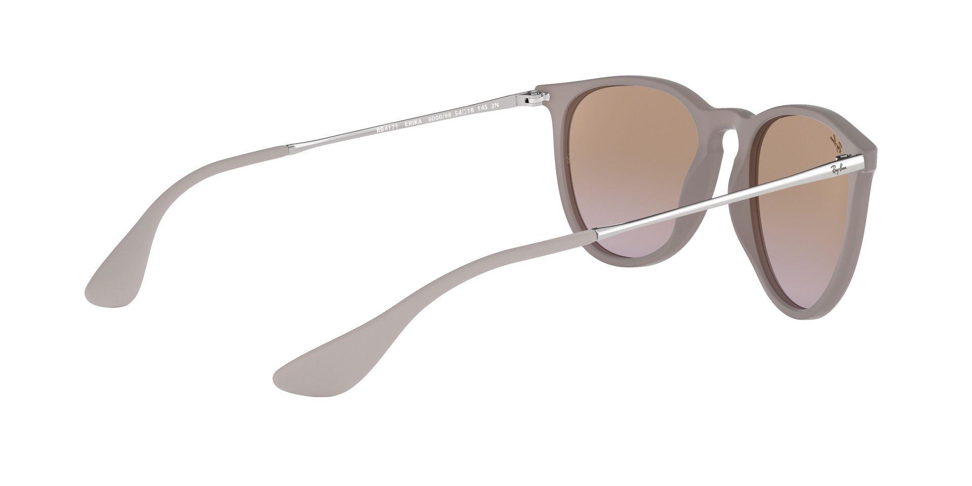 Ray-Ban Erika-7