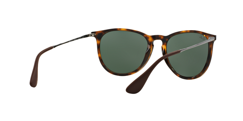 Ray-Ban Erika-6