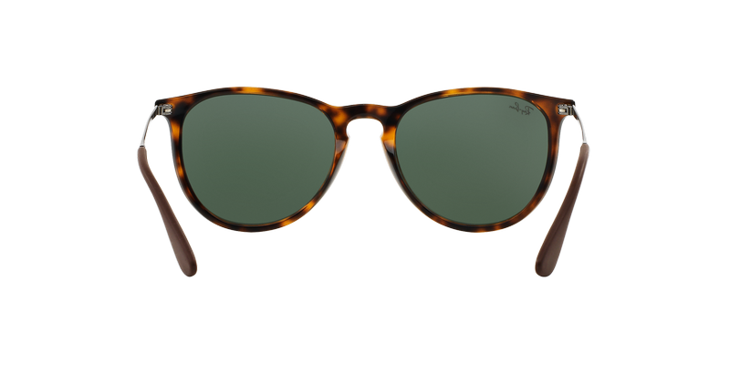 Ray-Ban Erika-5
