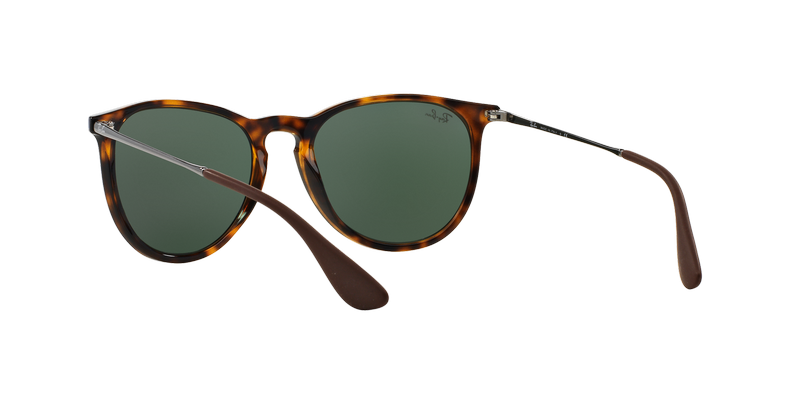Ray-Ban Erika-4