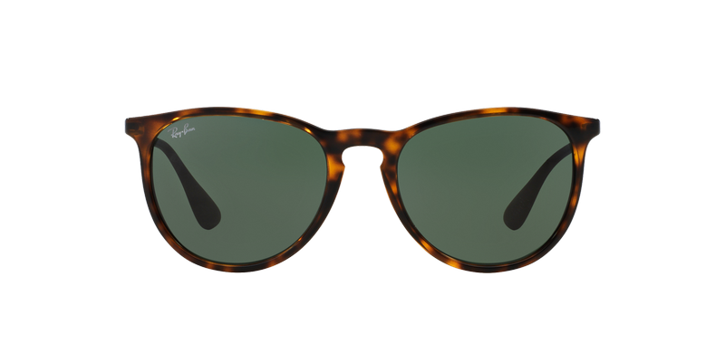 Ray-Ban Erika-11
