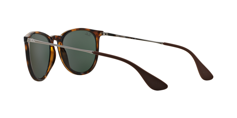 Ray-Ban Erika-3