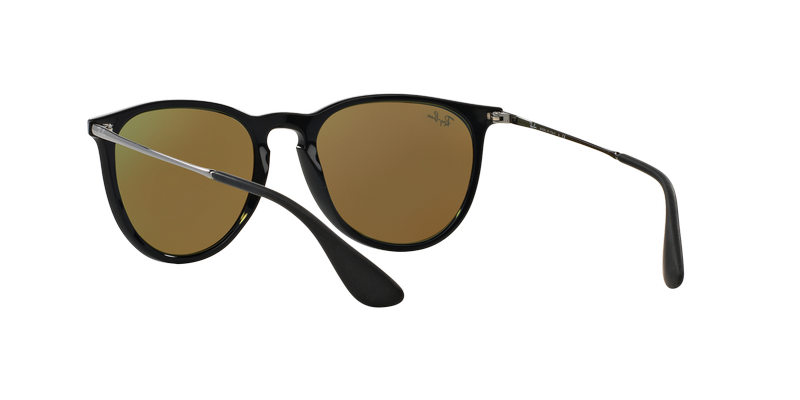 Ray-Ban Erika-4
