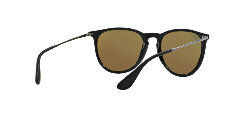 Ray-Ban Erika-6