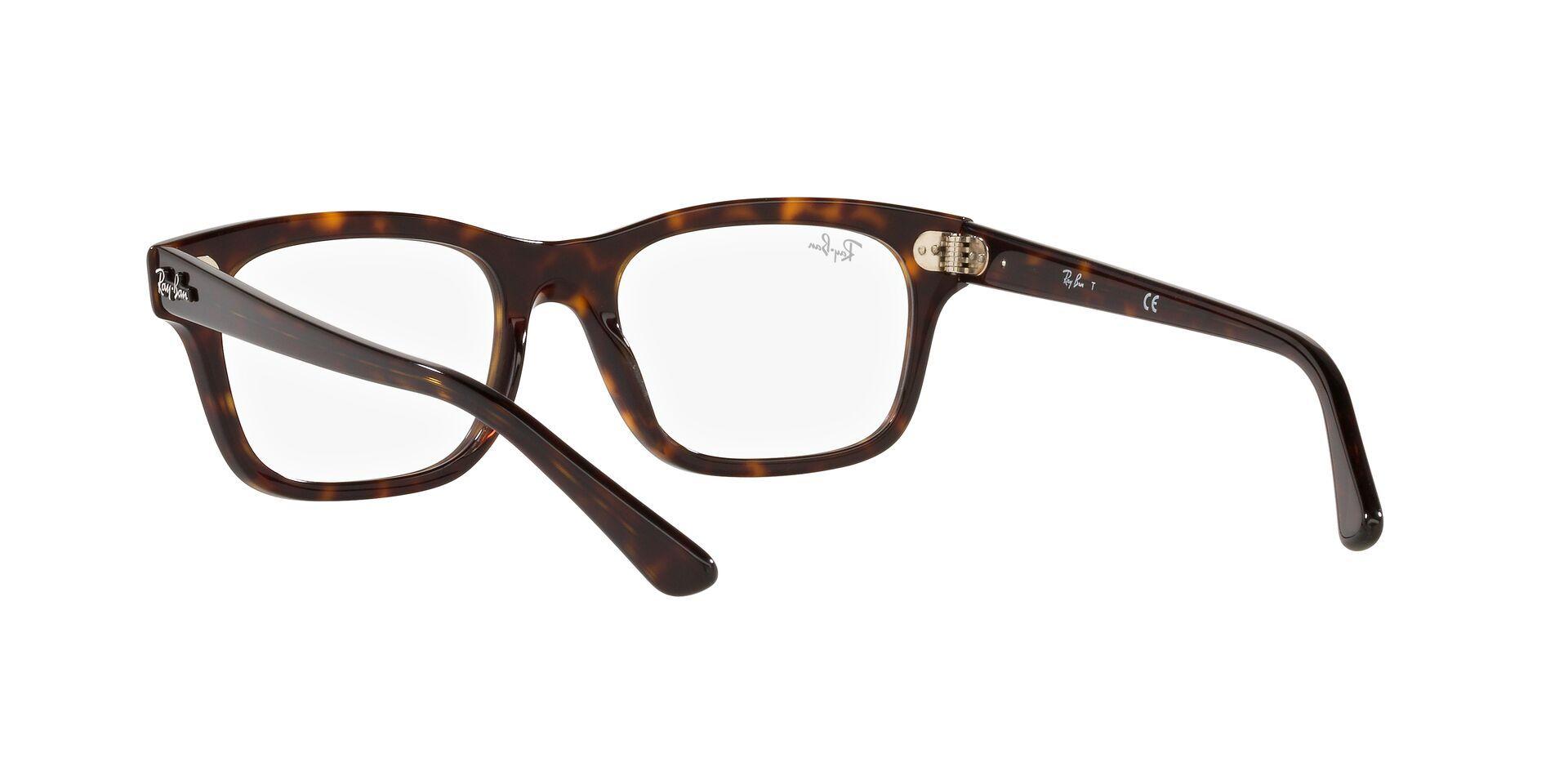 Ray-Ban Mr Burbank RX5383 2012 54-4