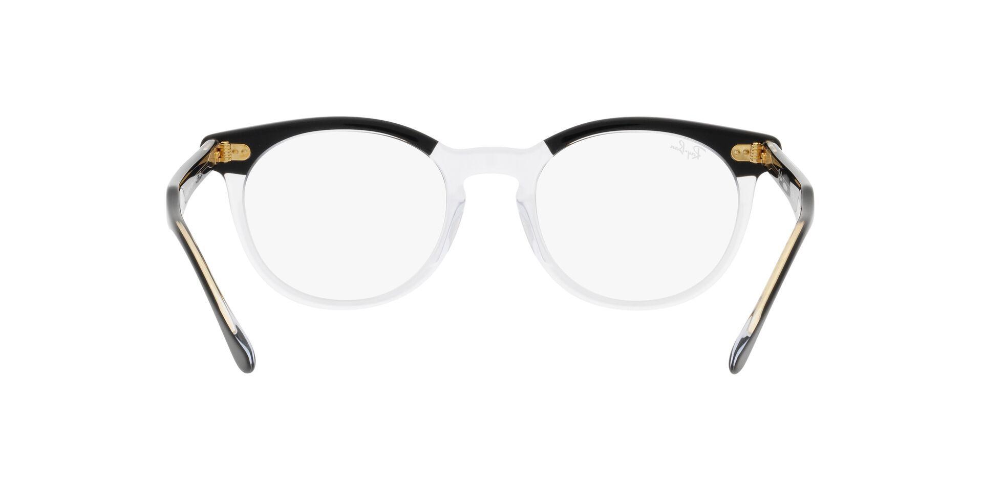 Ray-Ban Eagleeye-5