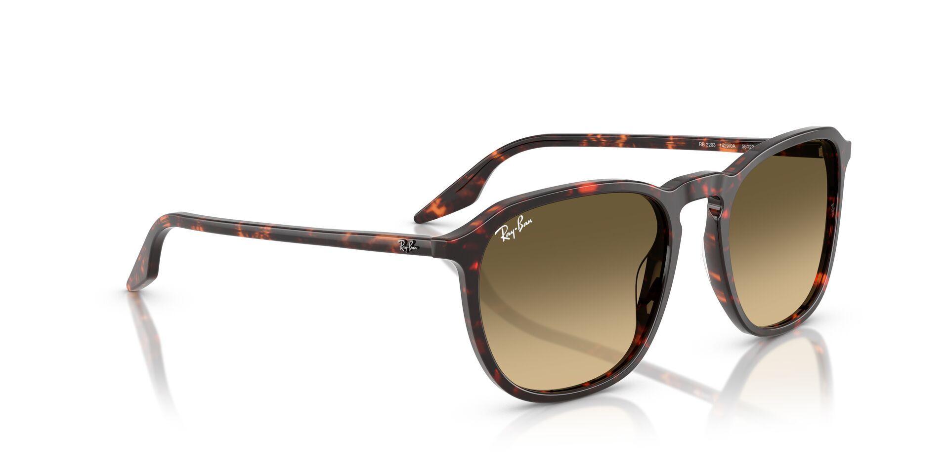 Ray-Ban RB2203 14290A 55-3
