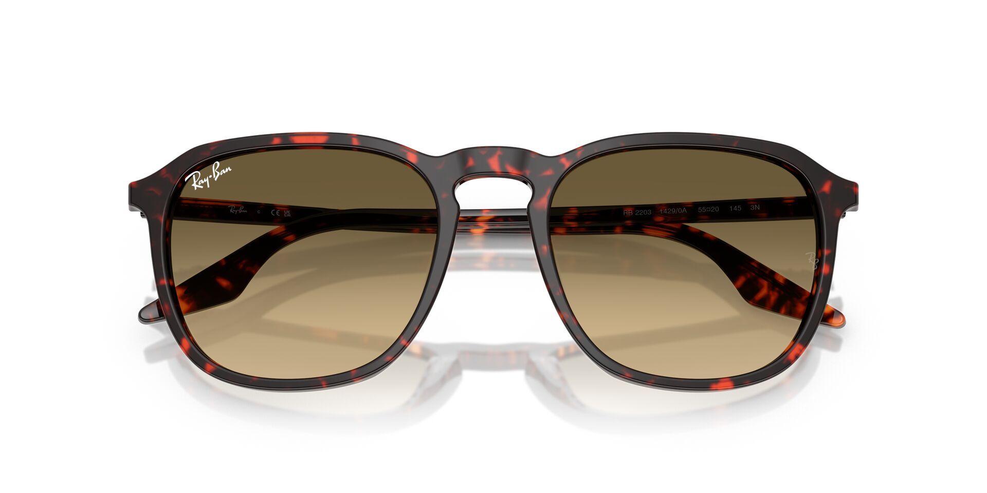 Ray-Ban RB2203 14290A 55-4