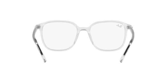 Ray-Ban Leonard RB2193 912/GH 53-3