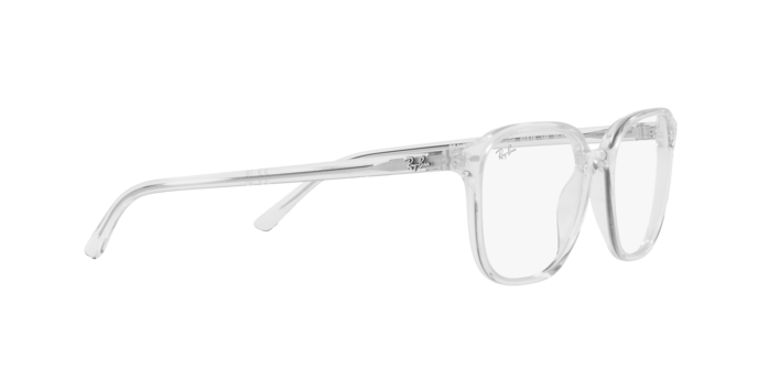 Ray-Ban Leonard RB2193 912/GH 53-4