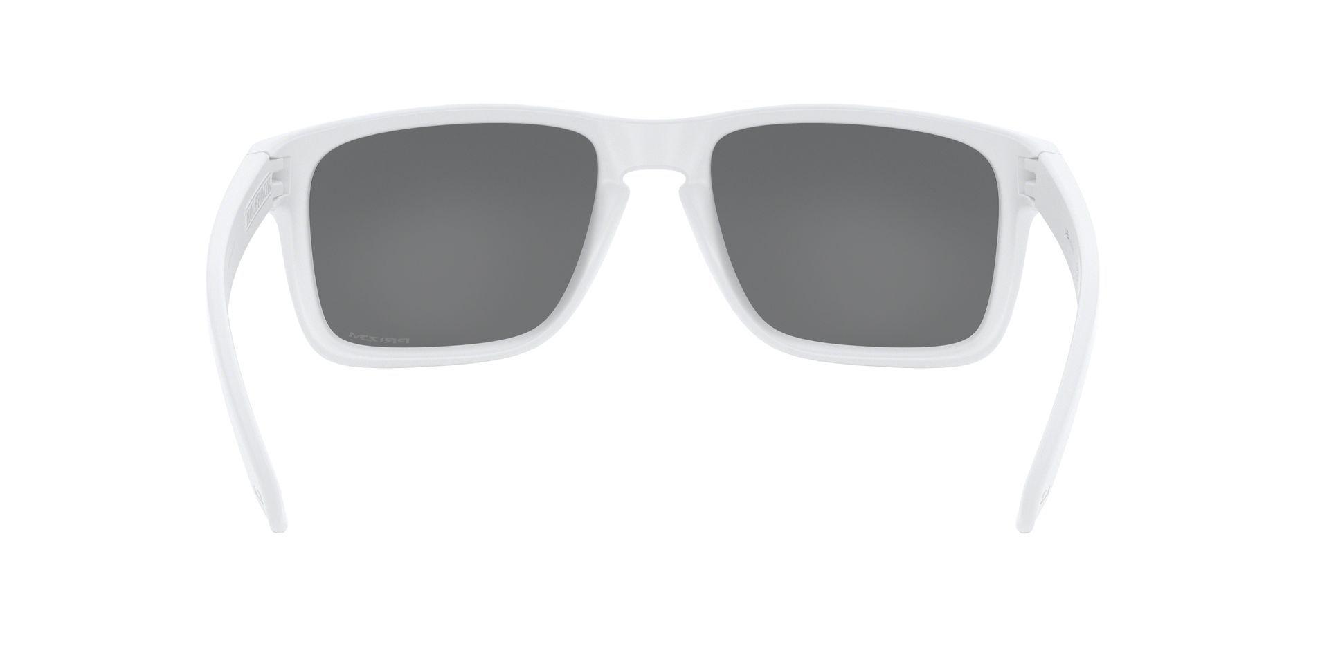 Oakley Holbrook XL Prizm OO9417-1559-5