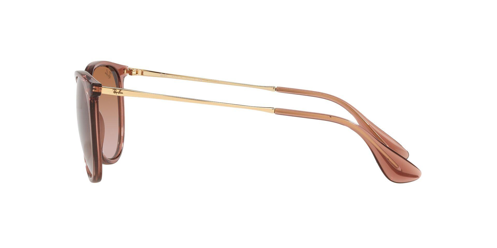 Ray-Ban Erika-2