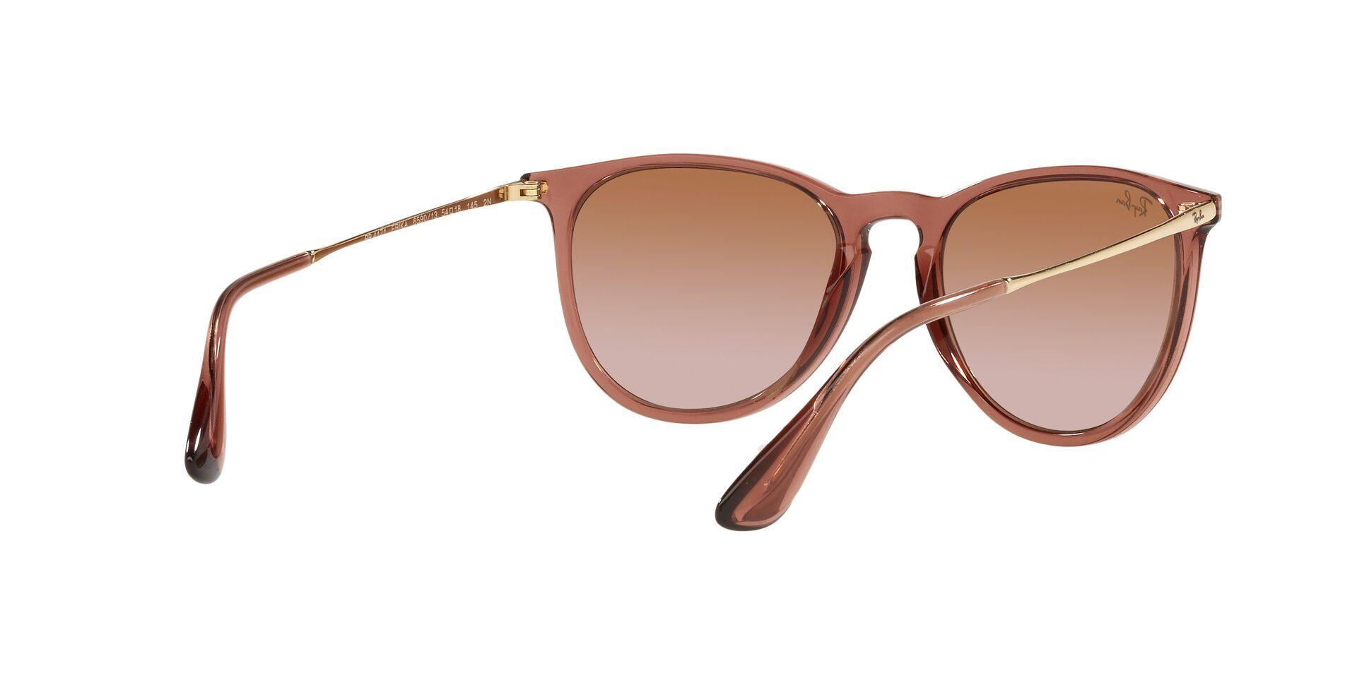 Ray-Ban Erika-6