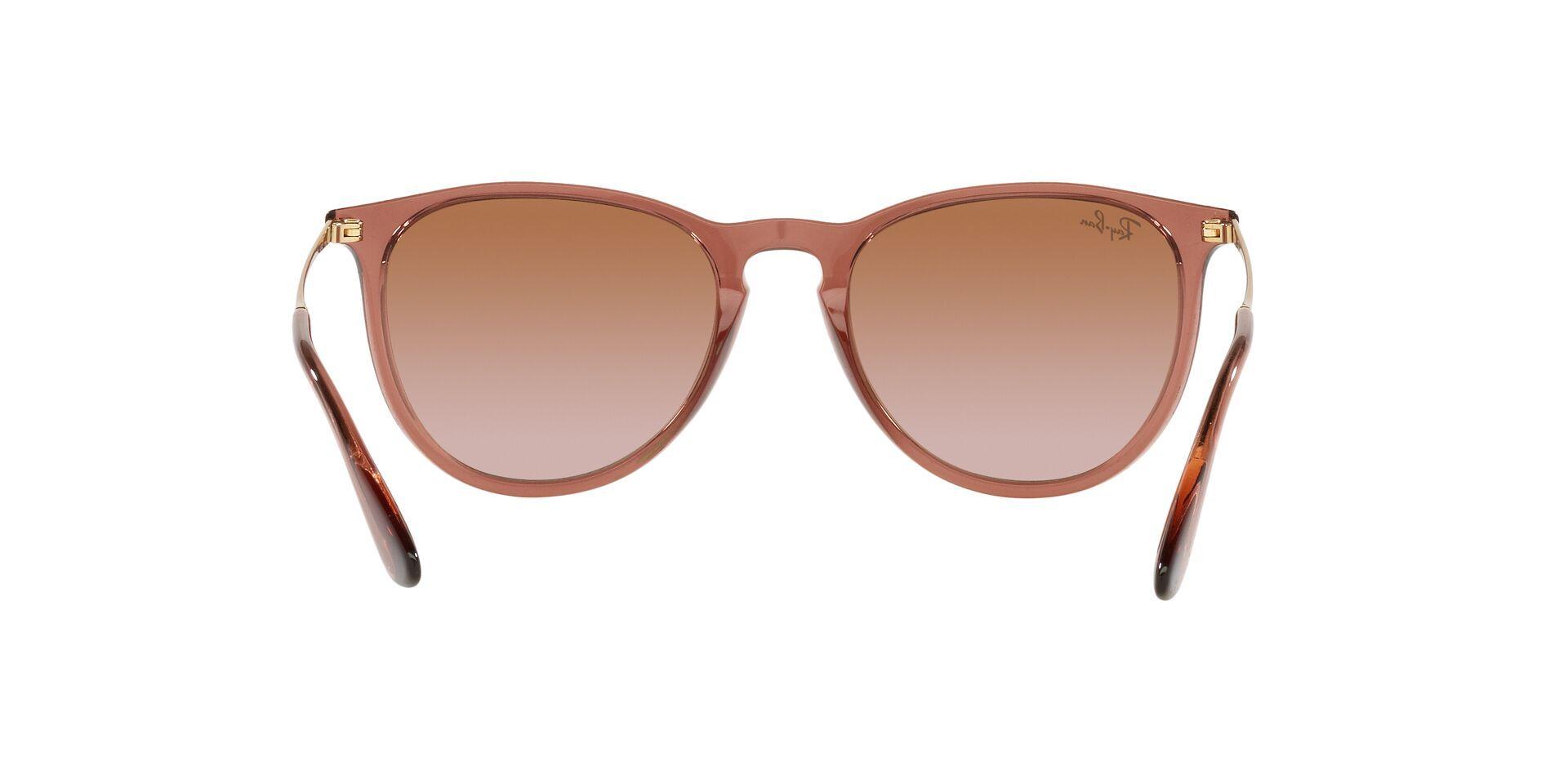 Ray-Ban Erika-5