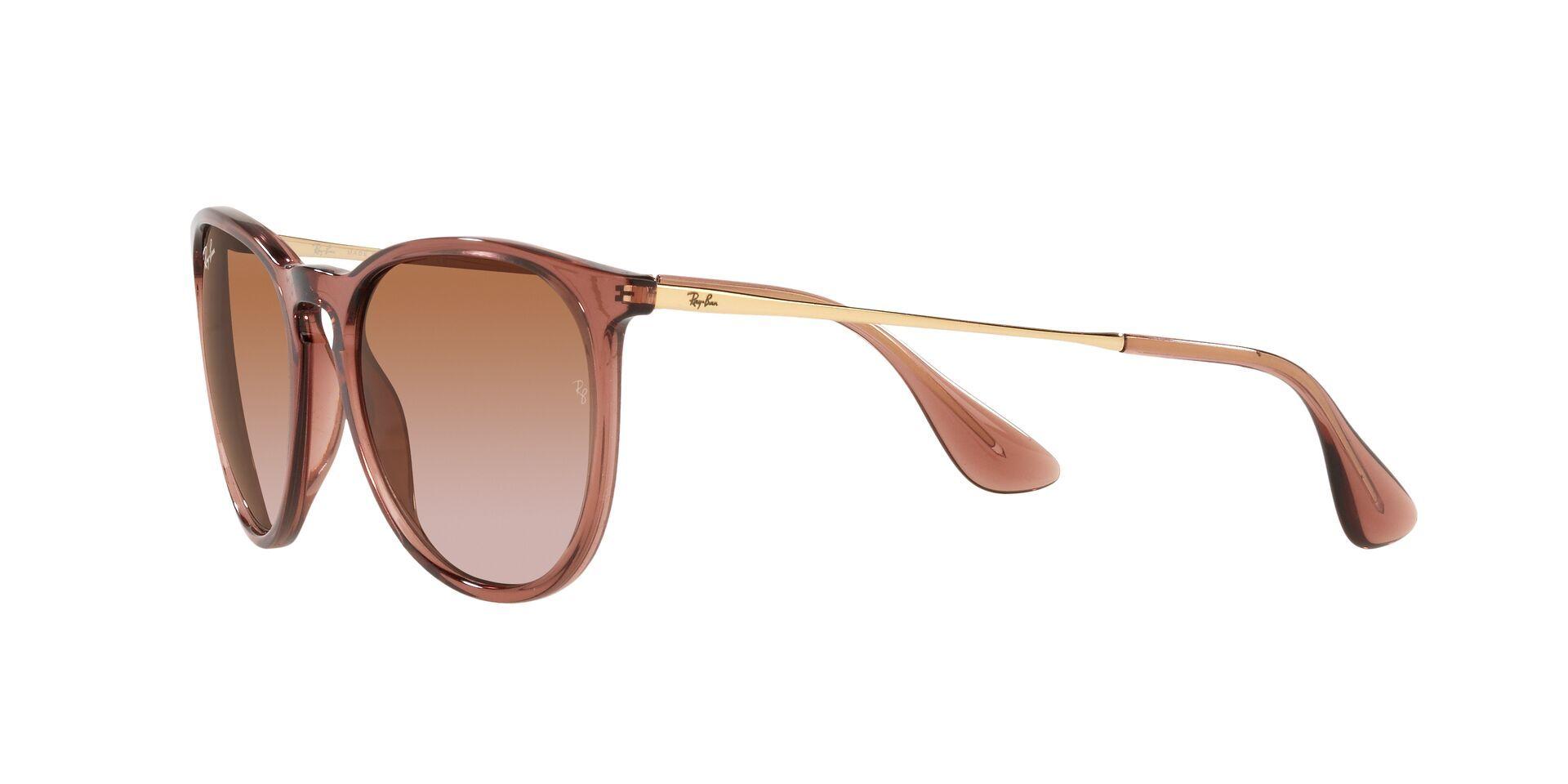 Ray-Ban Erika-1