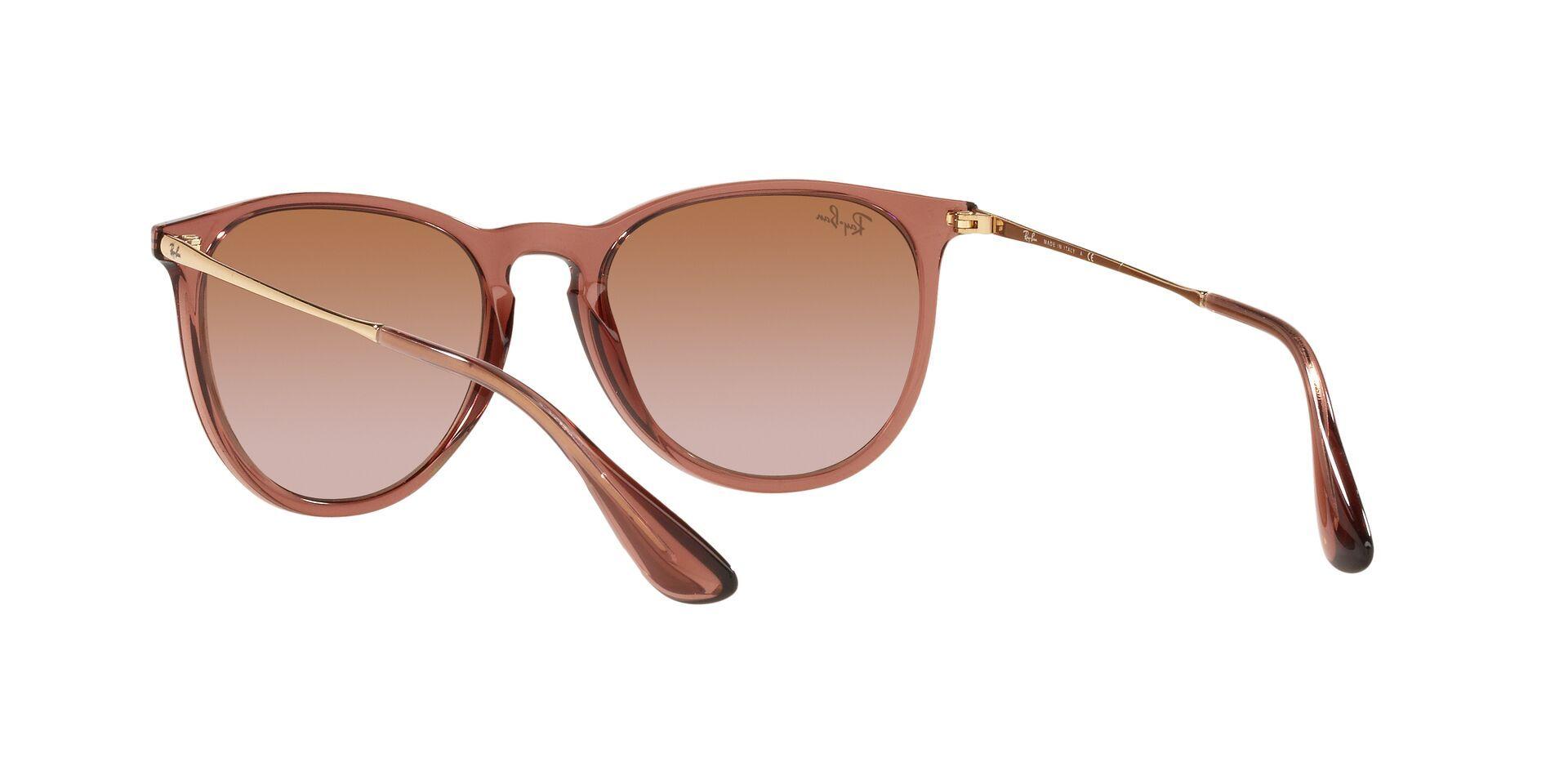 Ray-Ban Erika-4