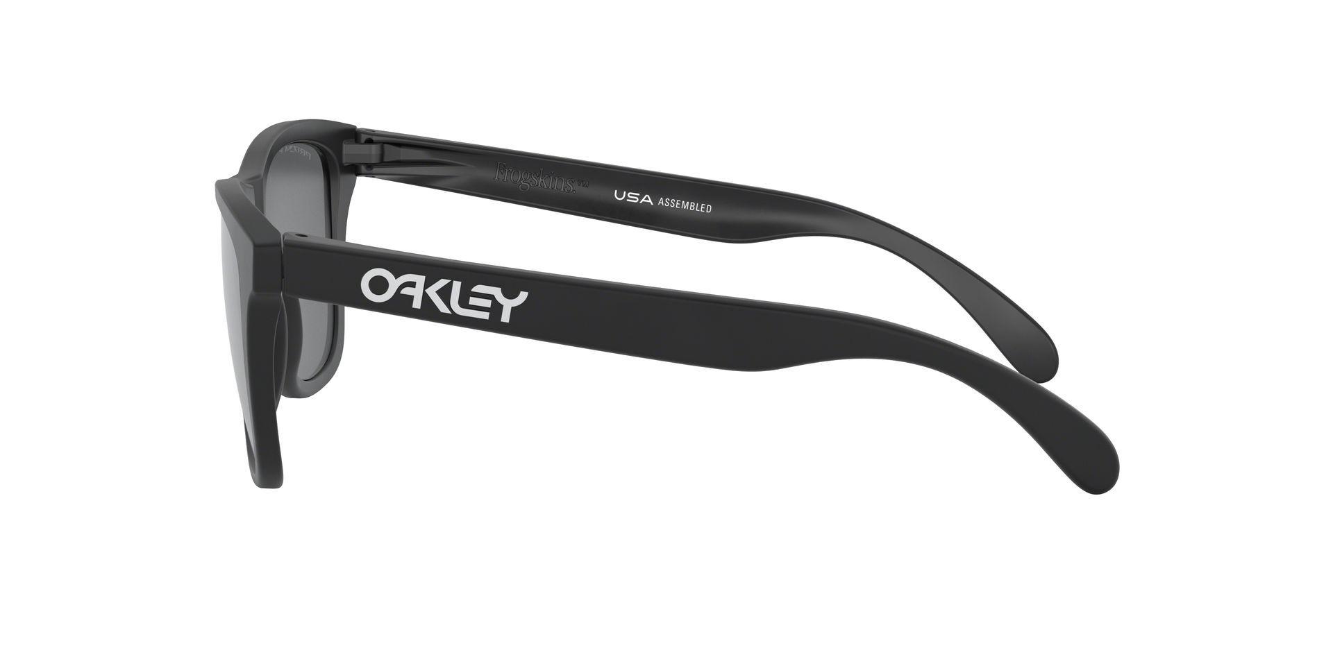 Oakley Frogskins Polarizado y Prizm-2