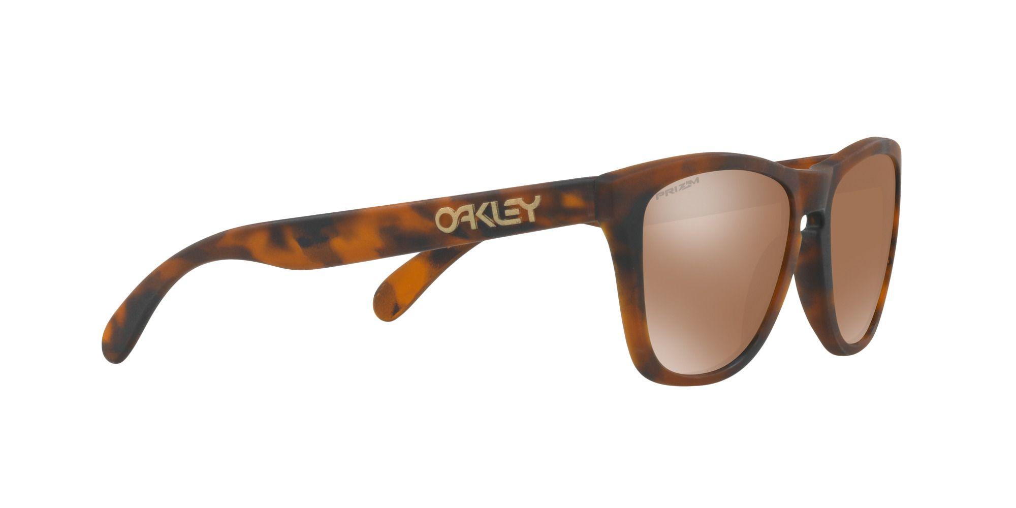 Oakley Frogskins-9