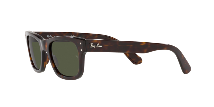 Ray-Ban Mr Burbank-1
