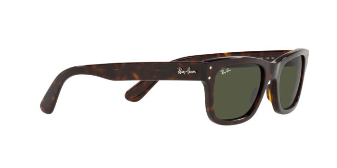 Ray-Ban Mr Burbank-6