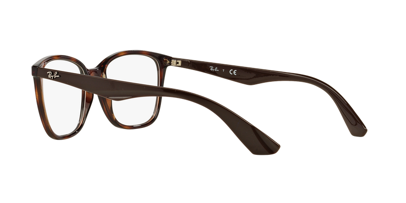 Ray-Ban RX7066 RX7066 5577 54-3