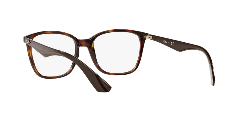 Ray-Ban RX7066 RX7066 5577 54-4
