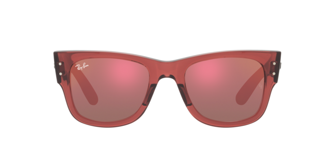 Ray-Ban Mega Wayfarer-5