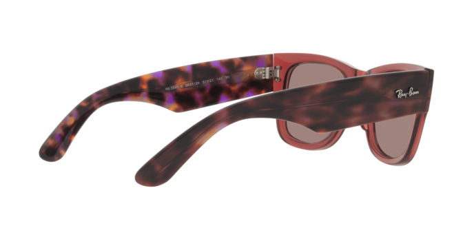 Ray-Ban Mega Wayfarer-2