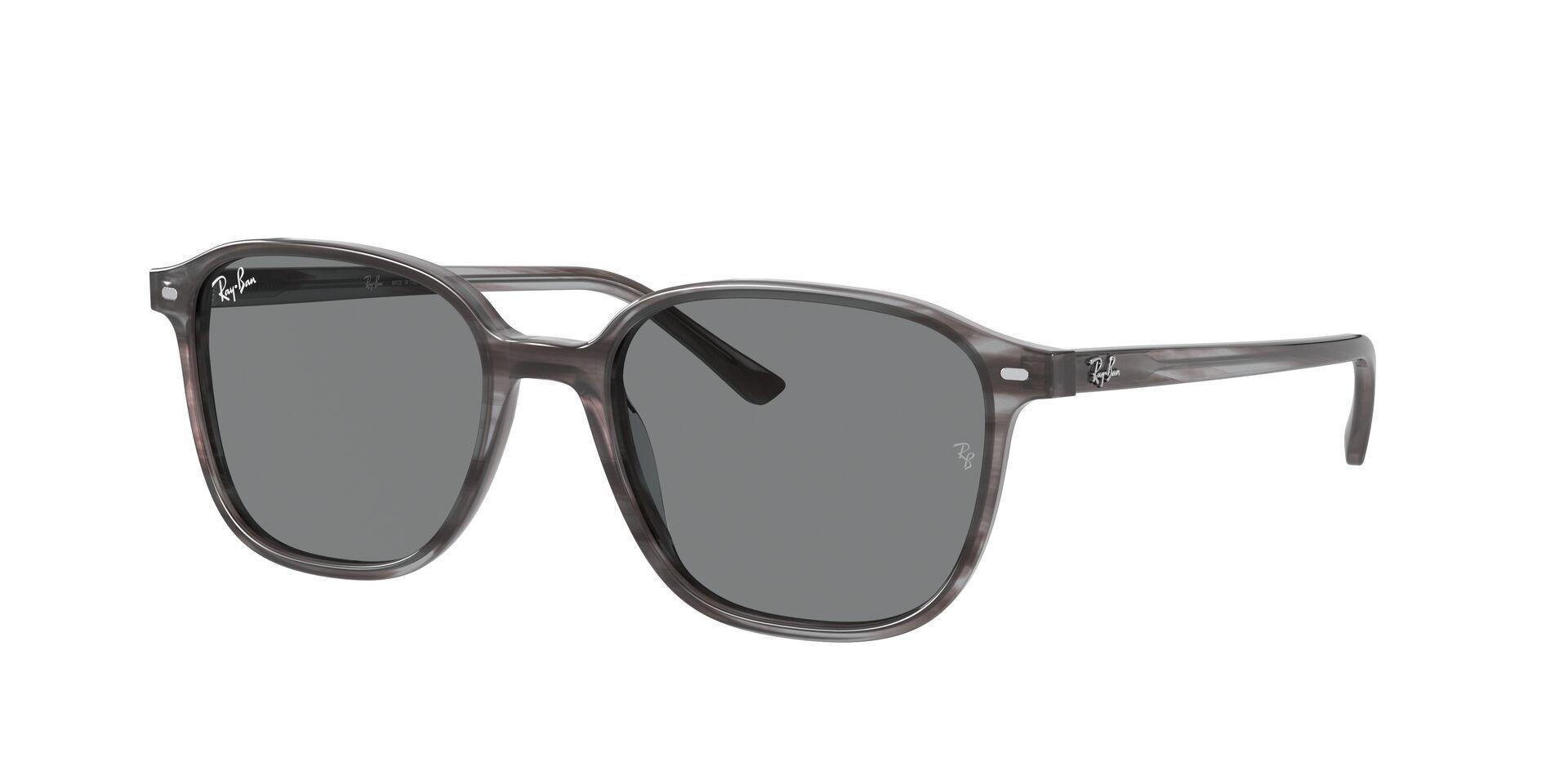 Ray-Ban Leonard RB2193 1314B1 53-0