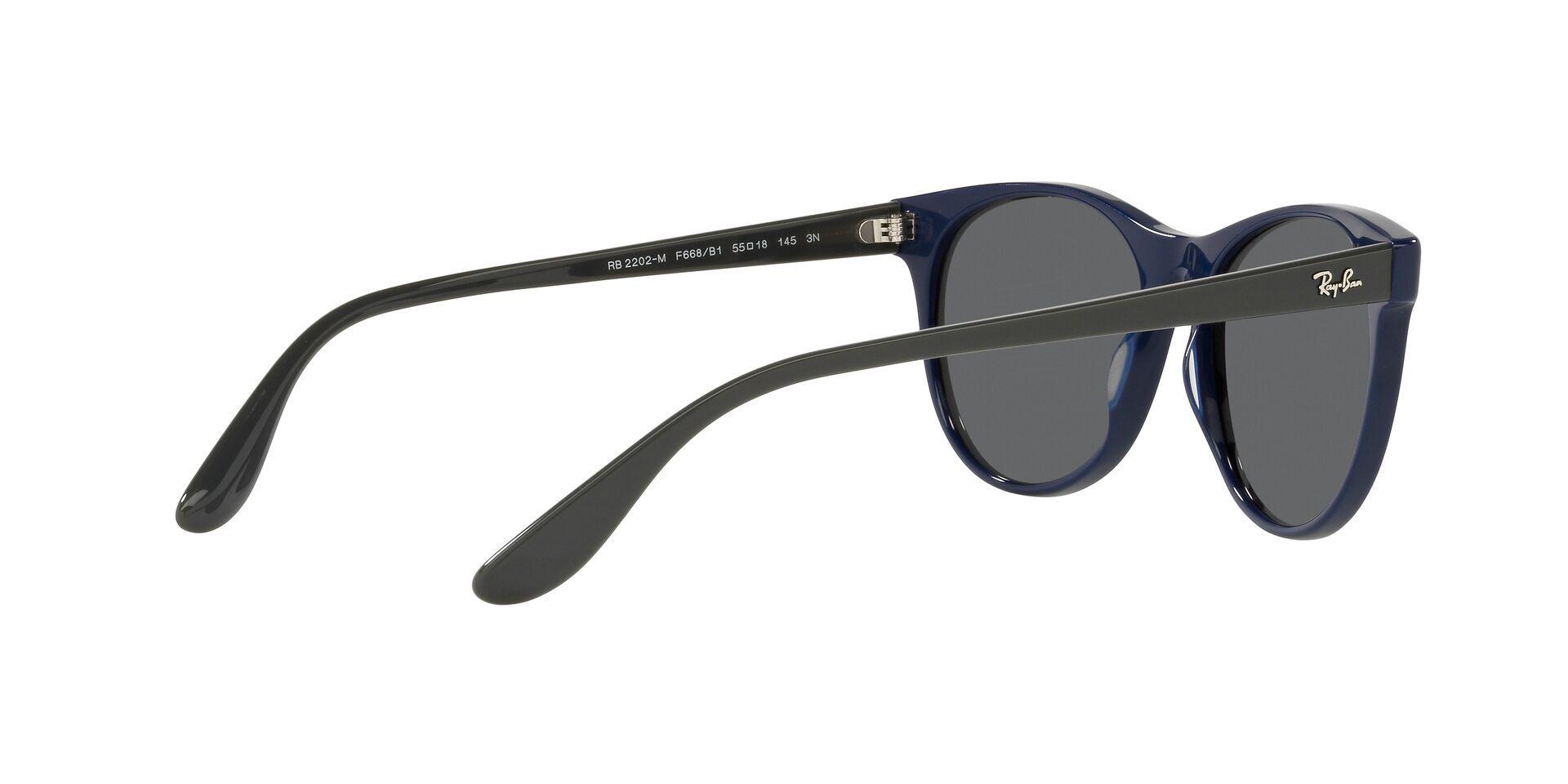 Ray-Ban RB2202M RB2202M F668B1 55 RB2202M F668B1 55-7