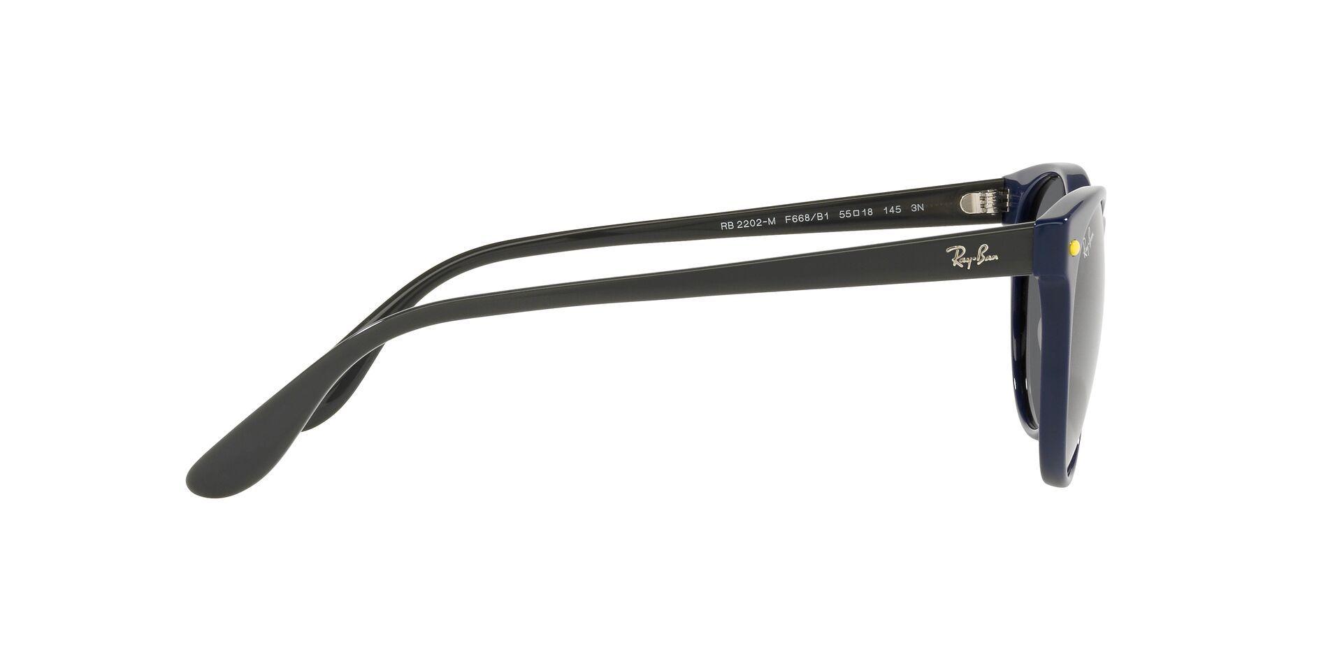 Ray-Ban RB2202M RB2202M F668B1 55 RB2202M F668B1 55-8