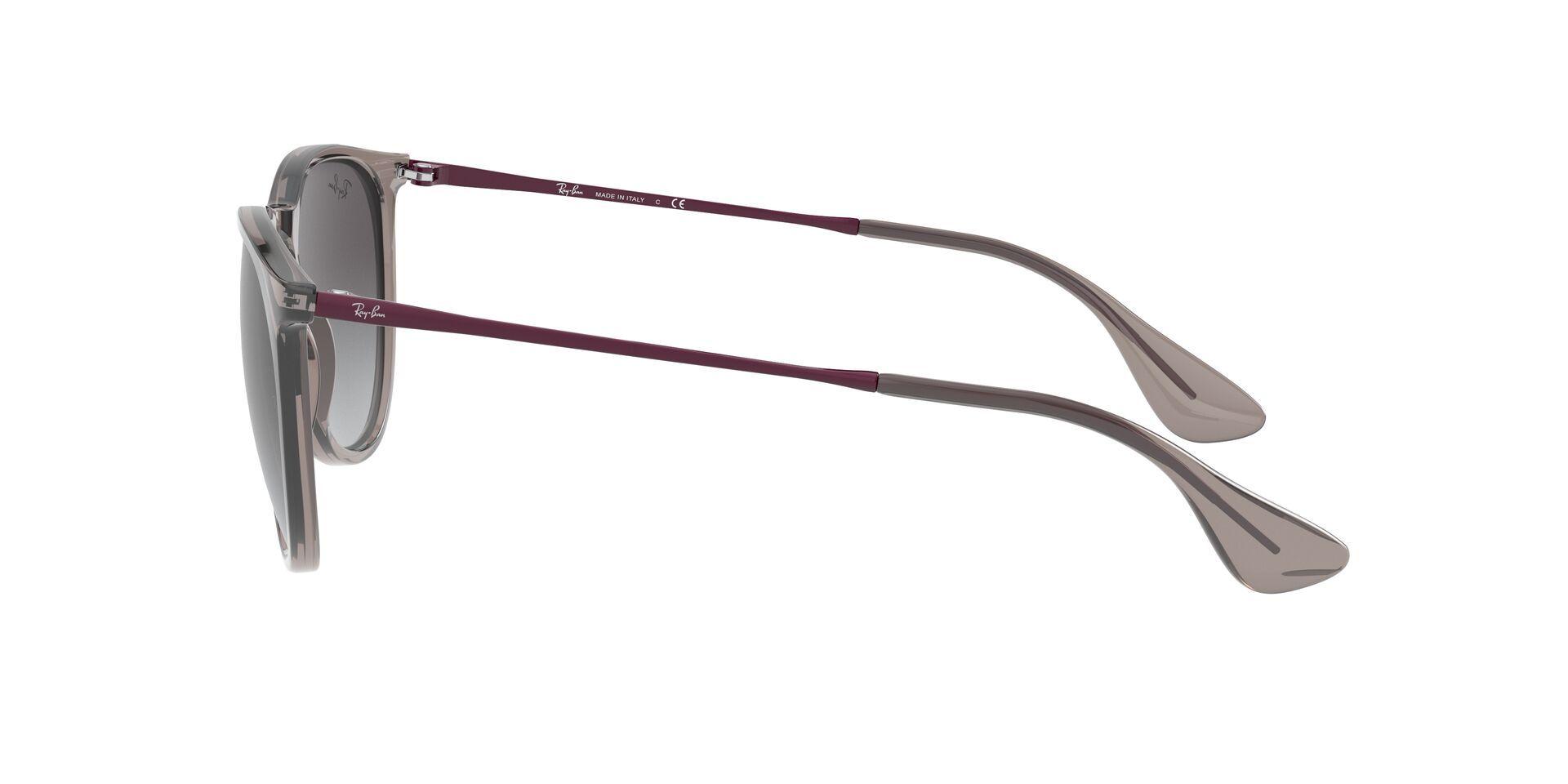 Ray-Ban Erika RB4171 65138G 54-2