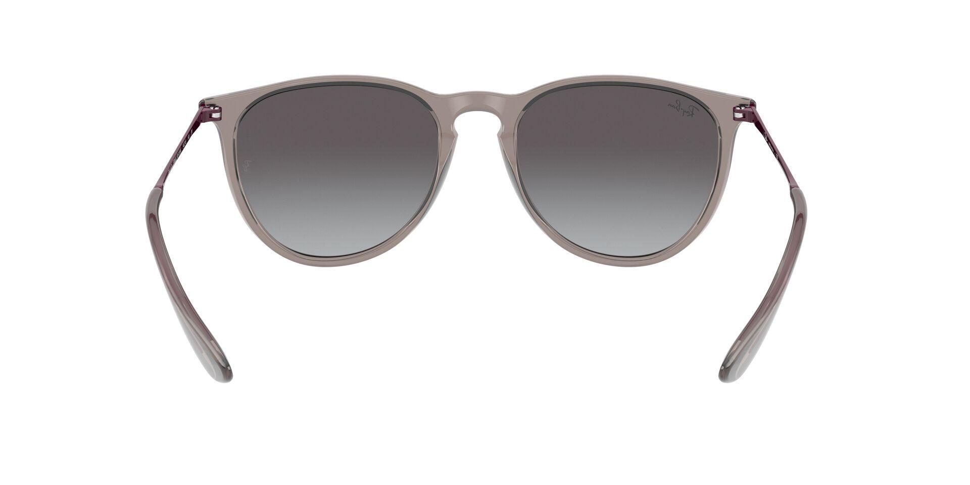 Ray-Ban Erika RB4171 65138G 54-5