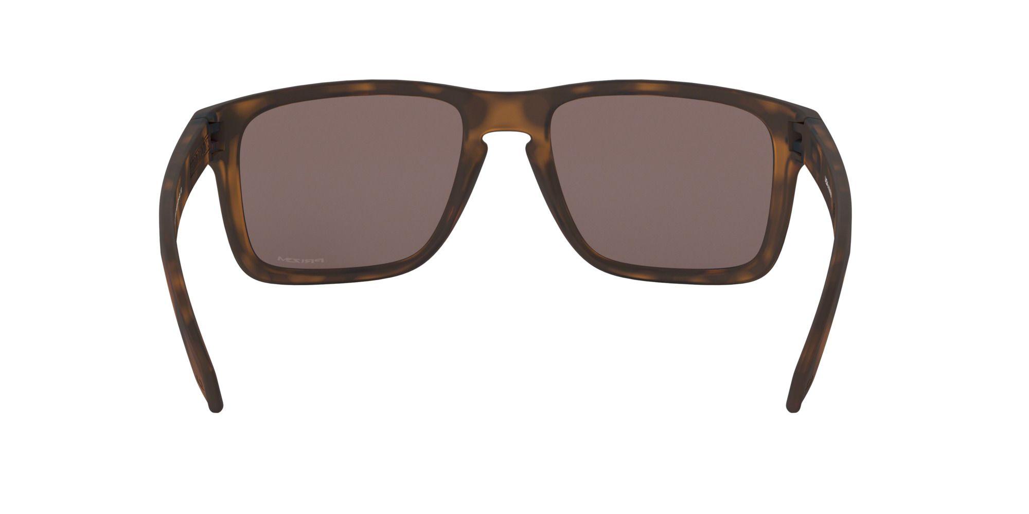 Oakley Holbrook XL Prizm-5