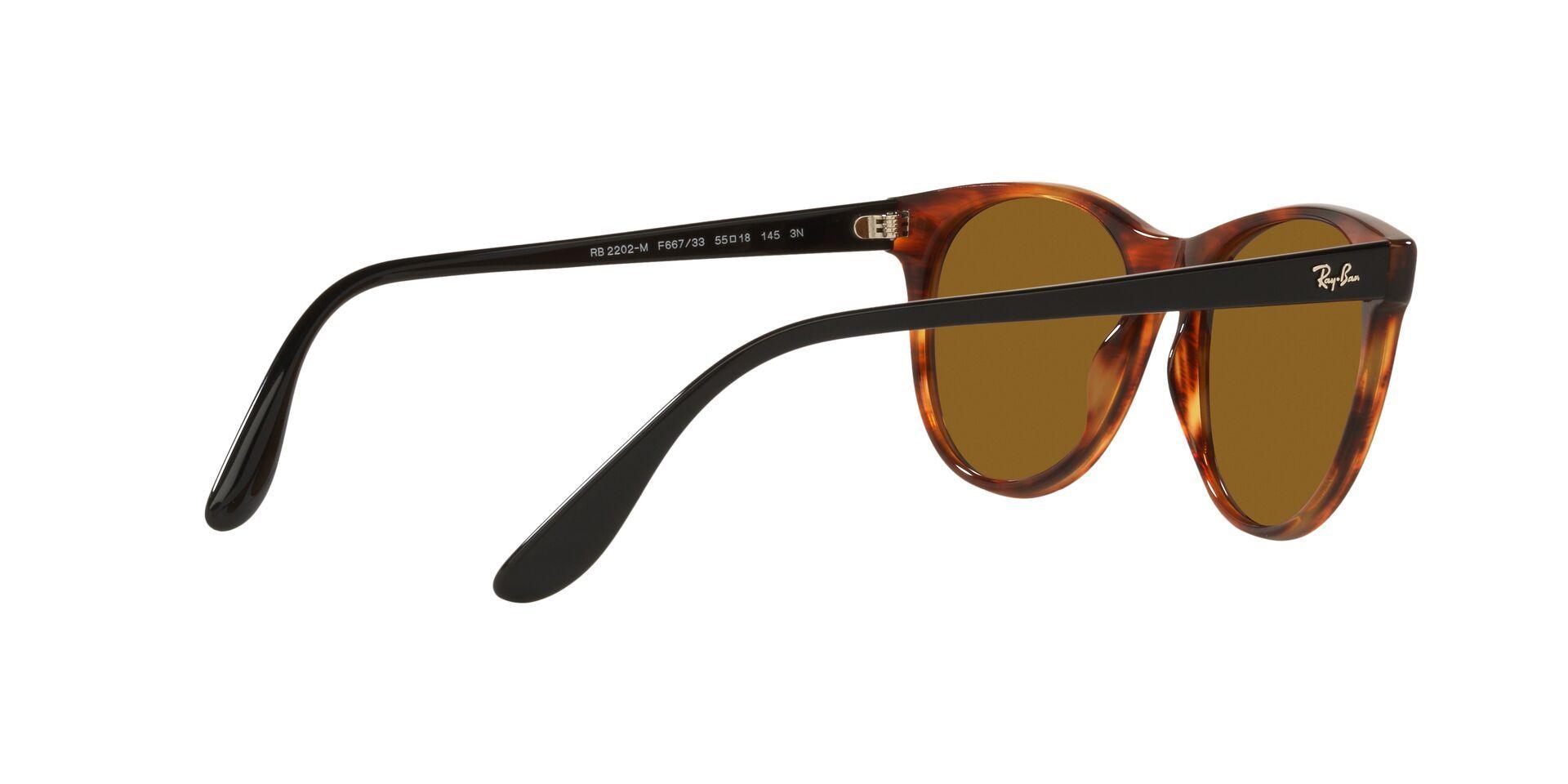 Ray-Ban RB2202M RB2202M F66733 55 RB2202M F66733 55-7