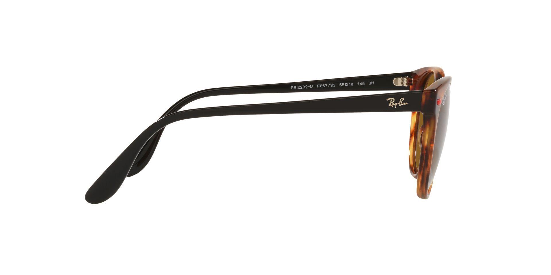 Ray-Ban RB2202M RB2202M F66733 55 RB2202M F66733 55-8