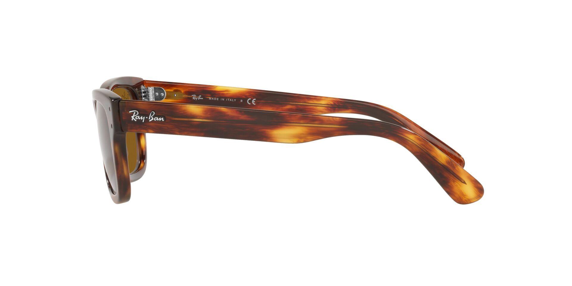 Ray-Ban Mr Burbank RB2283 954/33 55-2