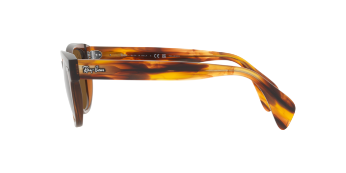 Ray-Ban RB0880S 664057 52-2